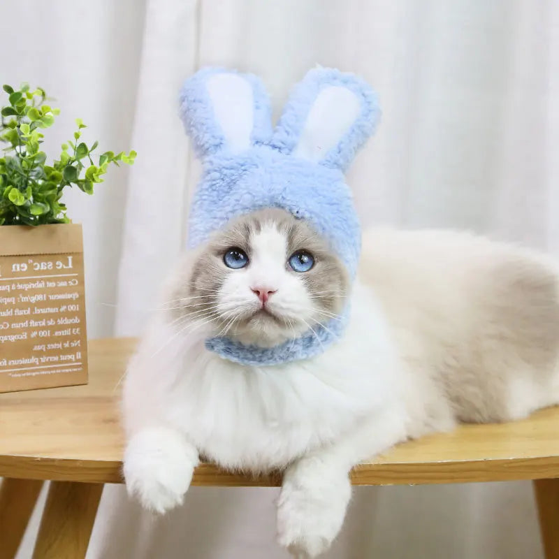 Rabbit Hat