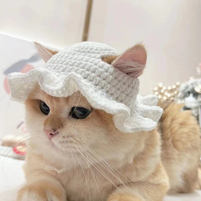 Knitted Cat Hat