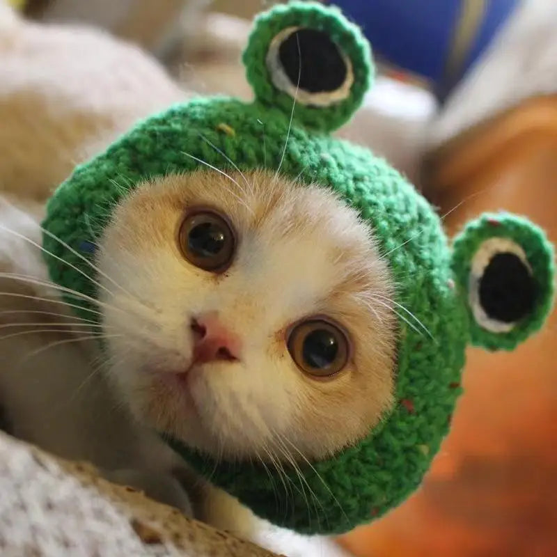 Knitted Cat Hat