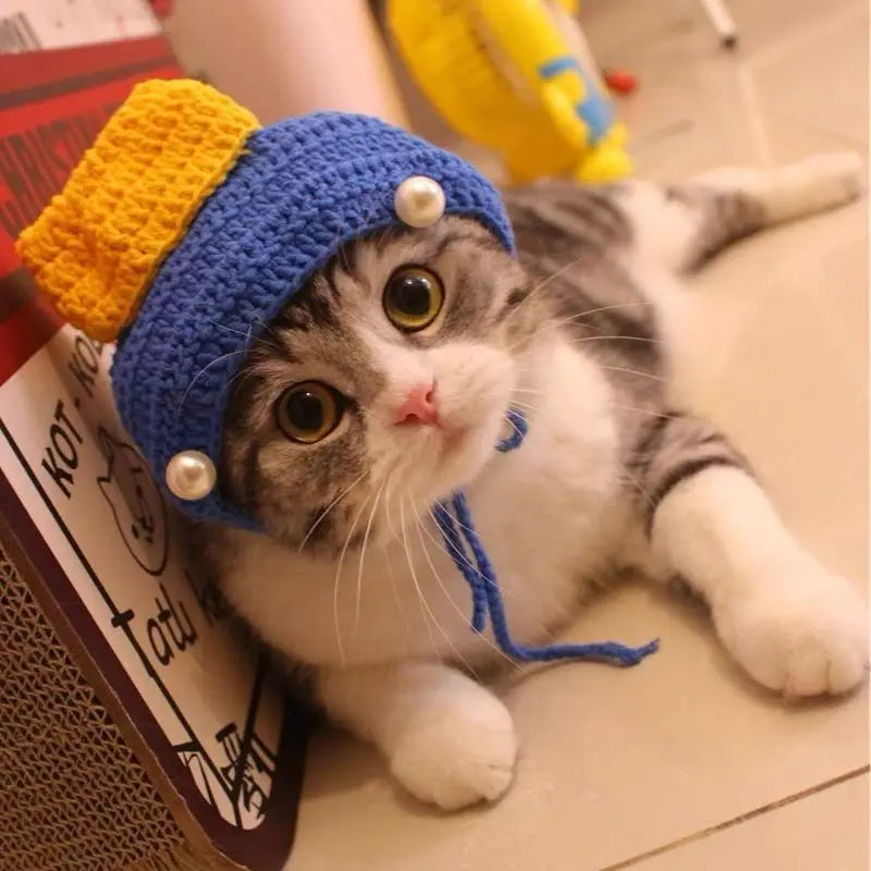 Knitted Cat Hat