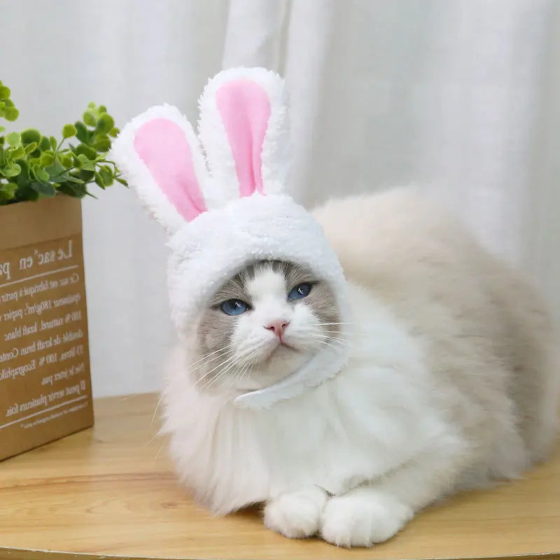 Rabbit Hat