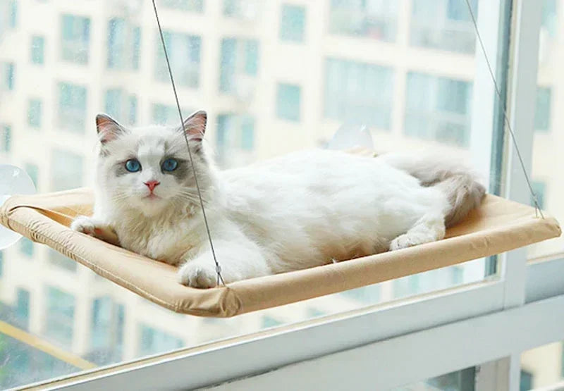 Sunny Window Seat Cat Hammock