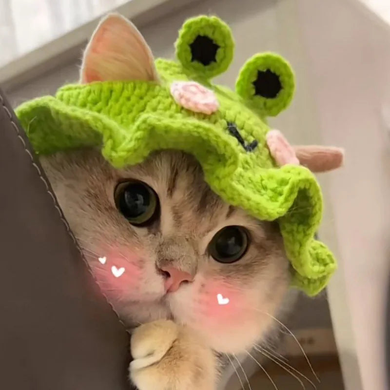 Knitted Cat Hat