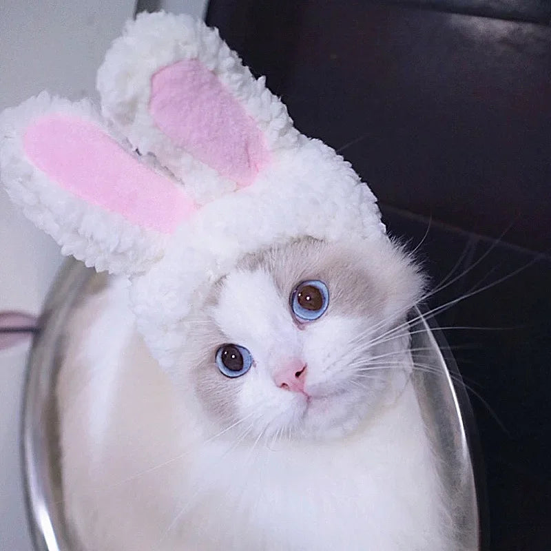 Rabbit Hat