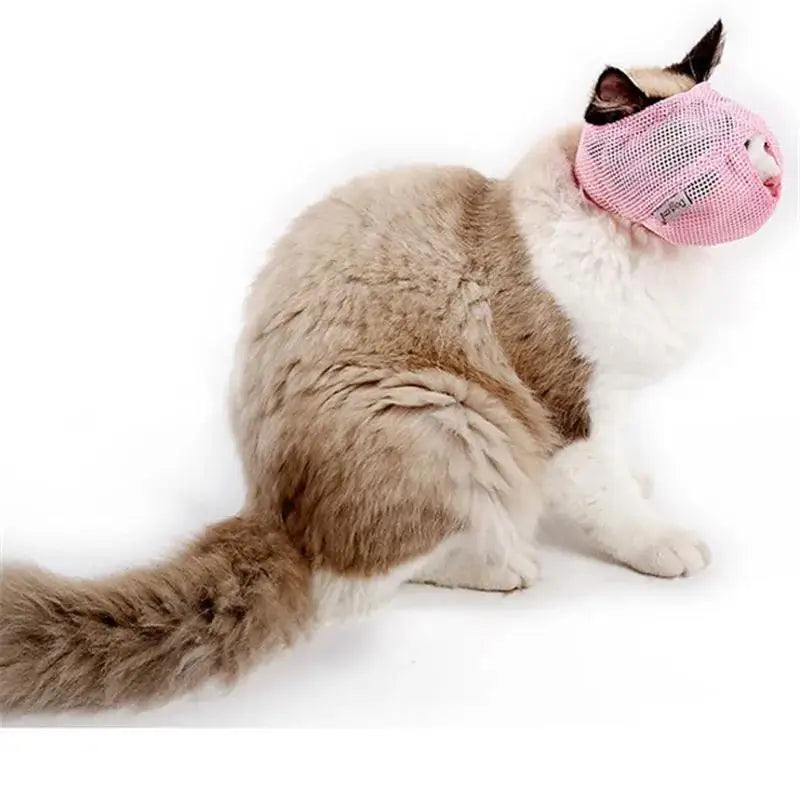 Breathable Mesh Cat Mask