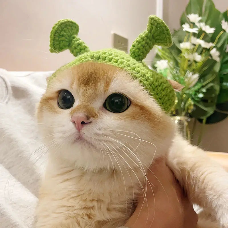 Knitted Cat Hat